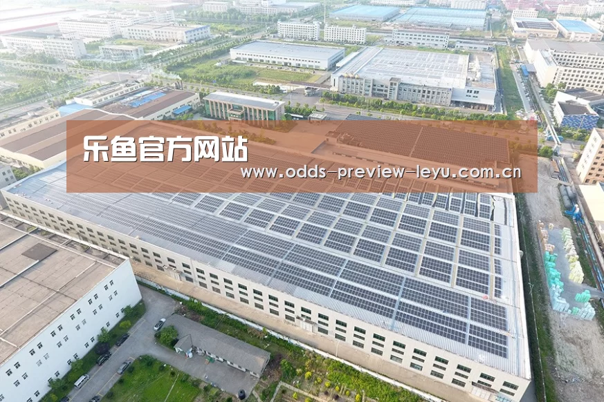 案例展示一