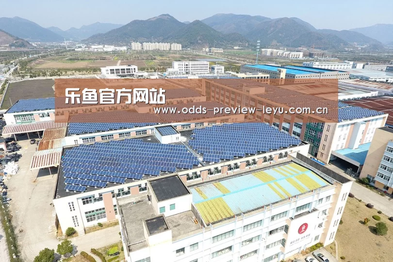 案例展示二