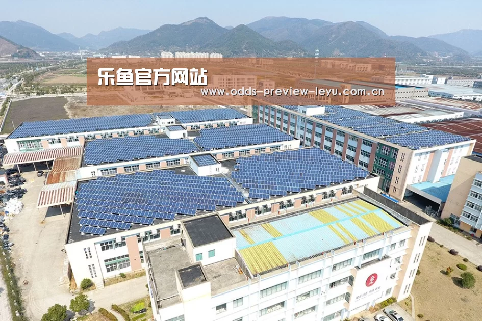 案例展示一
