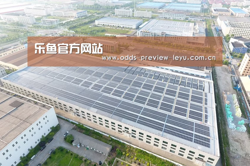 案例展示二