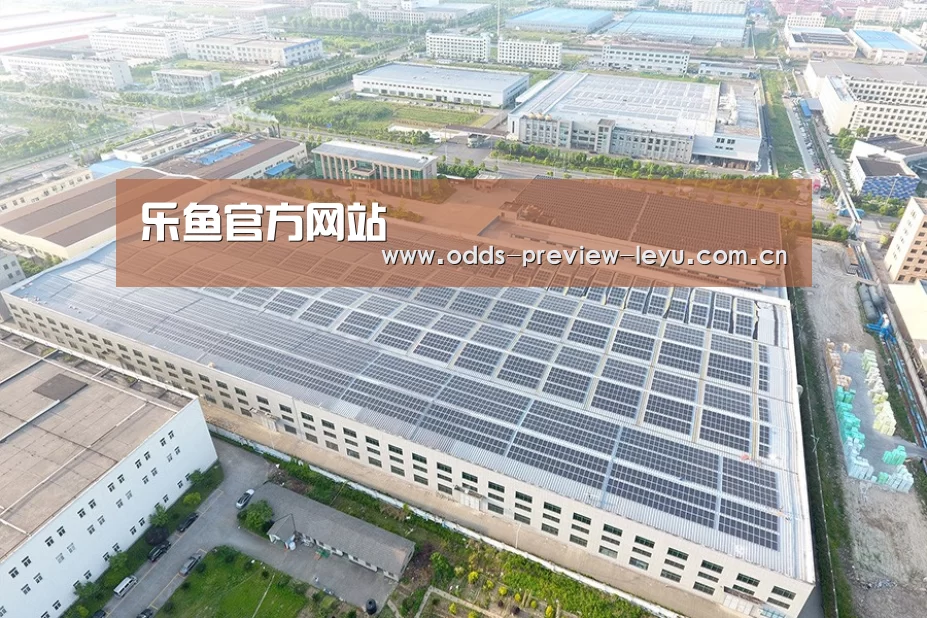 案例展示三